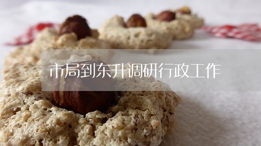 市局到东升调研行政工作 市局到东升调研行政工作