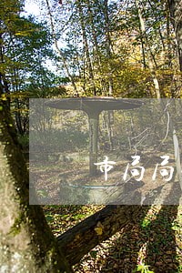 市局局长调研扶贫工作