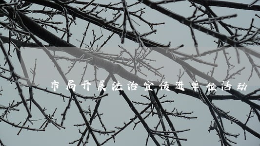 市局开展法治宣传进单位活动 市局开展法治宣传进单位活动