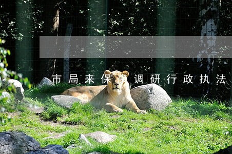 市局来保康调研行政执法工作 市局来保康调研行政执法工作