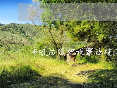 市政协组织视察法院工作 市政协组织视察法院工作