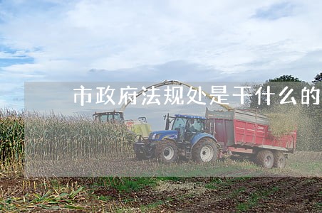 市政府法规处是干什么的 市政府法规处是干什么的