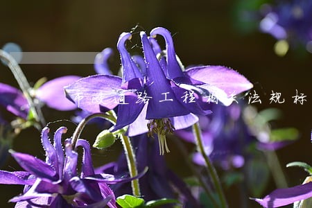 市政道路工程相关法规标准 市政道路工程相关法规标准