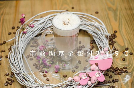 市救助基金拨付27900元 市救助基金拨付27900元