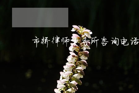 市桥律师事务所咨询电话 市桥律师事务所咨询电话