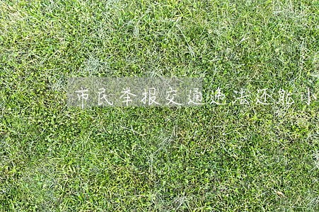 市民举报交通违法还能小赚一笔 市民举报交通违法还能小赚一笔