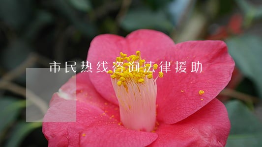 市民热线咨询法律援助 市民热线咨询法律援助