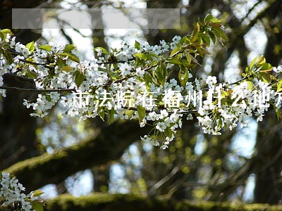 市法院在福州什么地方 市法院在福州什么地方