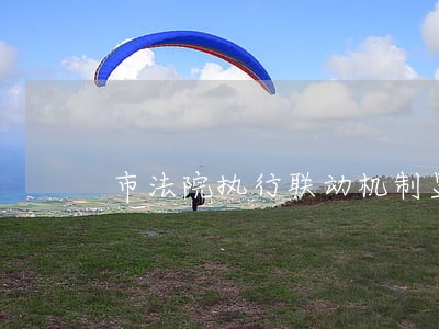 市法院执行联动机制显成效