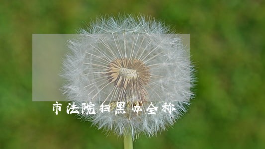 市法院扫黑办全称 市法院扫黑办全称