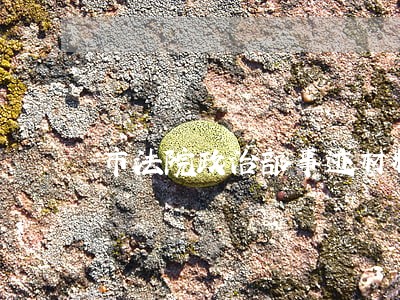 市法院政治部事迹材料 市法院政治部事迹材料