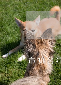 市知名建筑工程律师电话 市知名建筑工程律师电话
