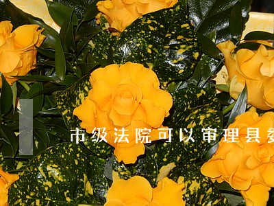 市级法院可以审理县委书记 市级法院可以审理县委书记