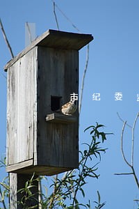 市纪委监委传达学习宪法修正案 市纪委监委传达学习宪法修正案