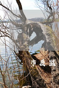 市质监局算法规科 市质监局算法规科