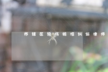 市辖区轻伤赔偿纠纷律师 市辖区轻伤赔偿纠纷律师