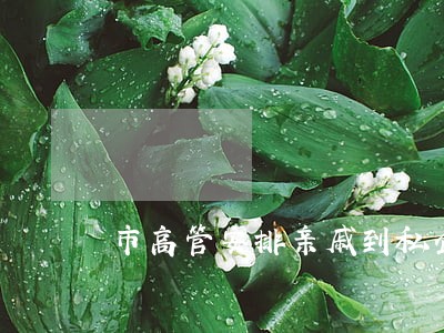 市高管安排亲戚到私企工作违法吗 市高管安排亲戚到私企工作违法吗