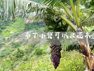 布丁小贷可以只还本金吗 布丁小贷可以只还本金吗
