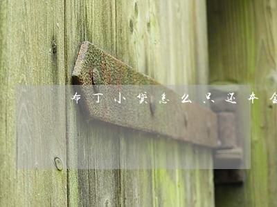 布丁小贷怎么只还本金 布丁小贷怎么只还本金