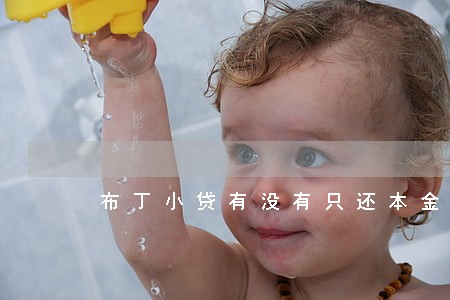 布丁小贷有没有只还本金的 布丁小贷有没有只还本金的