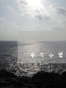 布丁小贷逾期100天 布丁小贷逾期100天