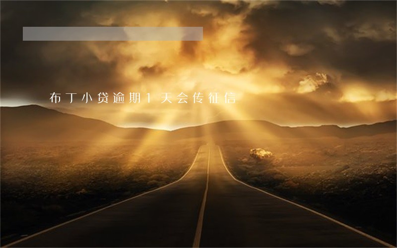 布丁小贷逾期1天会传征信 布丁小贷逾期1天会传征信