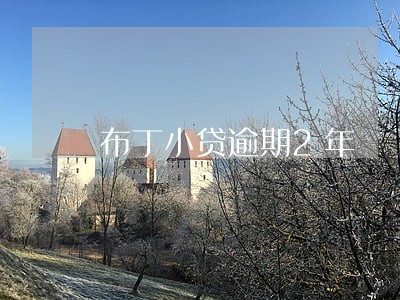 布丁小贷逾期2年 布丁小贷逾期2年