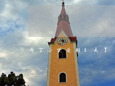 布丁小贷逾期3天了 布丁小贷逾期3天了