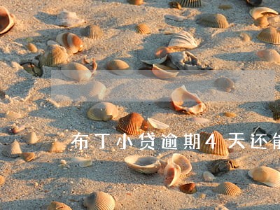 布丁小贷逾期4天还能借吗 布丁小贷逾期4天还能借吗