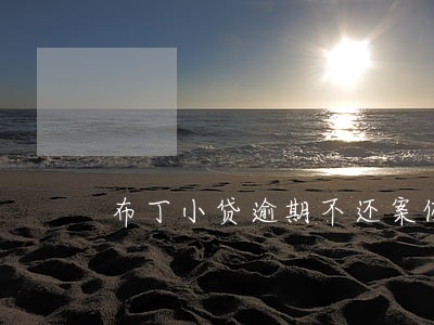 布丁小贷逾期不还案例6 布丁小贷逾期不还案例6