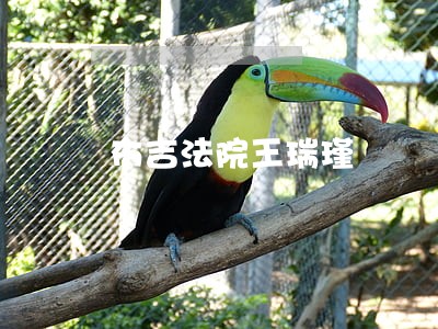 布吉法院王瑞瑾 布吉法院王瑞瑾