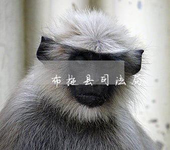 布拖县司法局