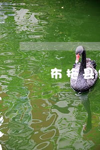 布拖县经济合同案件律师在线 布拖县经济合同案件律师在线