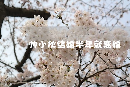 帅小伙结婚半年就离婚 帅小伙结婚半年就离婚