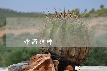 师丽律师 师丽律师