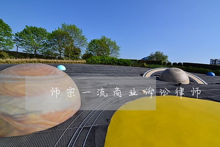师宗一流商业诉讼律师 师宗一流商业诉讼律师