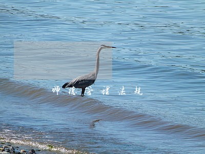 师德管理法规 师德管理法规