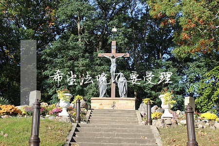 希望法院不要受理 希望法院不要受理