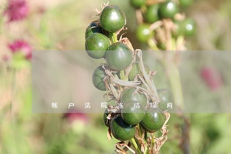 帐户法院冻结规避 帐户法院冻结规避