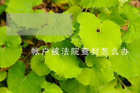 帐户被法院查封怎么办 帐户被法院查封怎么办