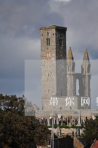 带你网赌的人违法不 带你网赌的人违法不
