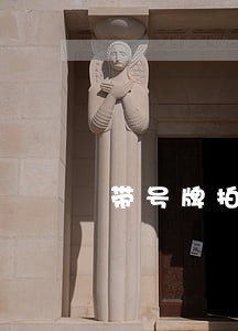 带号牌拍卖流程