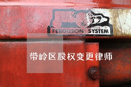 带岭区股权变更律师 带岭区股权变更律师