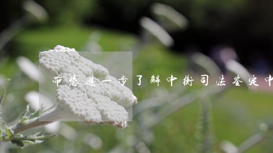 带您进一步了解中衡司法鉴定中心 带您进一步了解中衡司法鉴定中心
