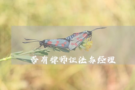 带有律师证法务经理 带有律师证法务经理
