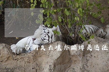 带朋友去境外赌博是违法的行为吗 带朋友去境外赌博是违法的行为吗