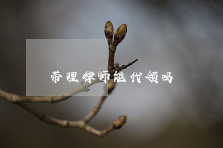 带理律师能代领吗