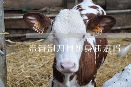 带管制刀具防身违法吗 带管制刀具防身违法吗