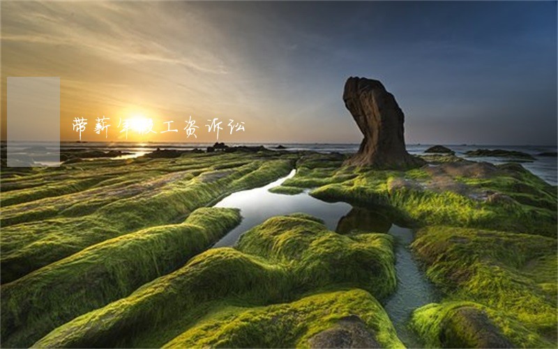 带薪年假工资诉讼