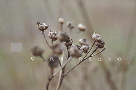 帮人代缴社保是违法的